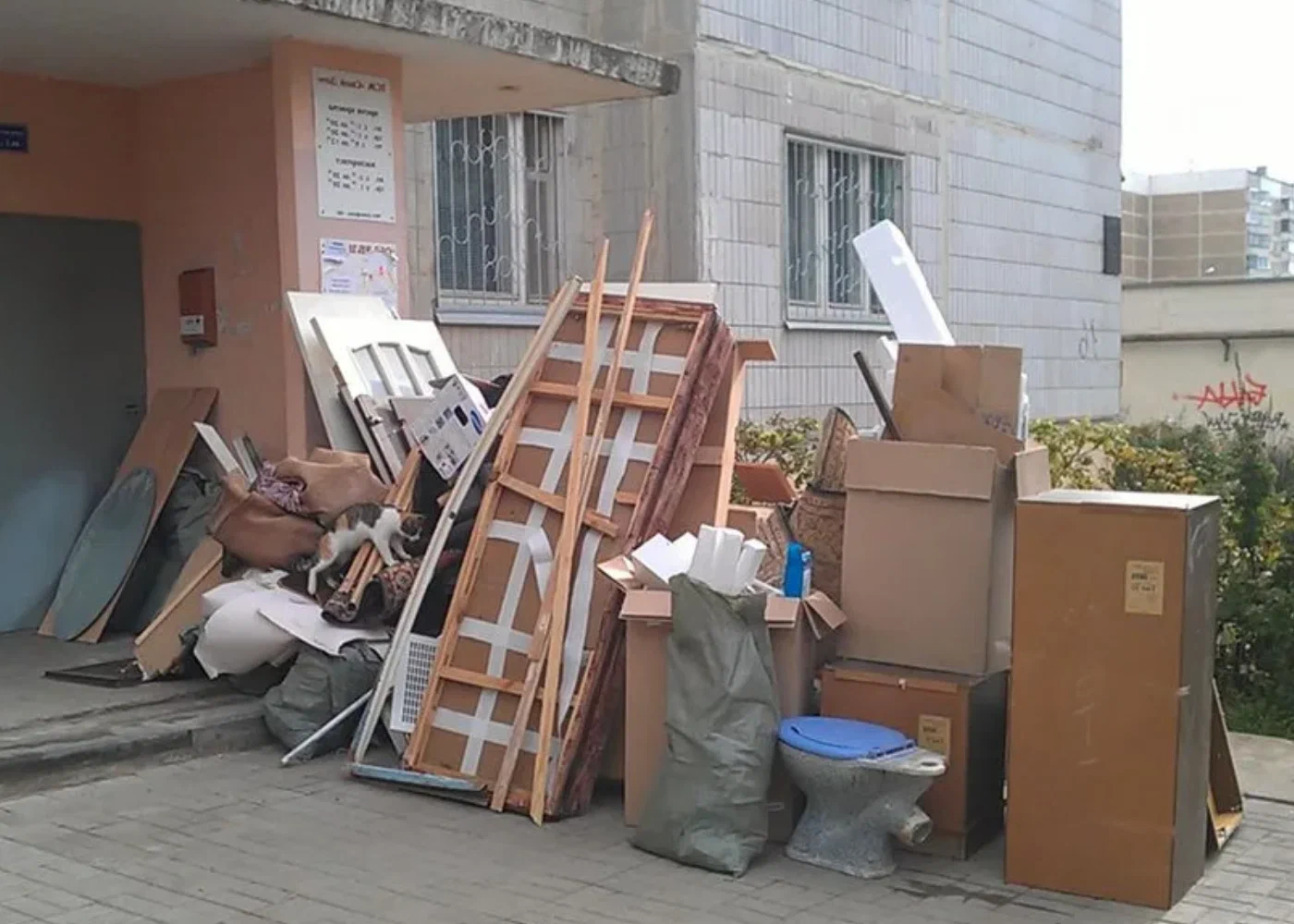 Профессиональный вывоз мусора из квартиры в Красном Сулине в октябре