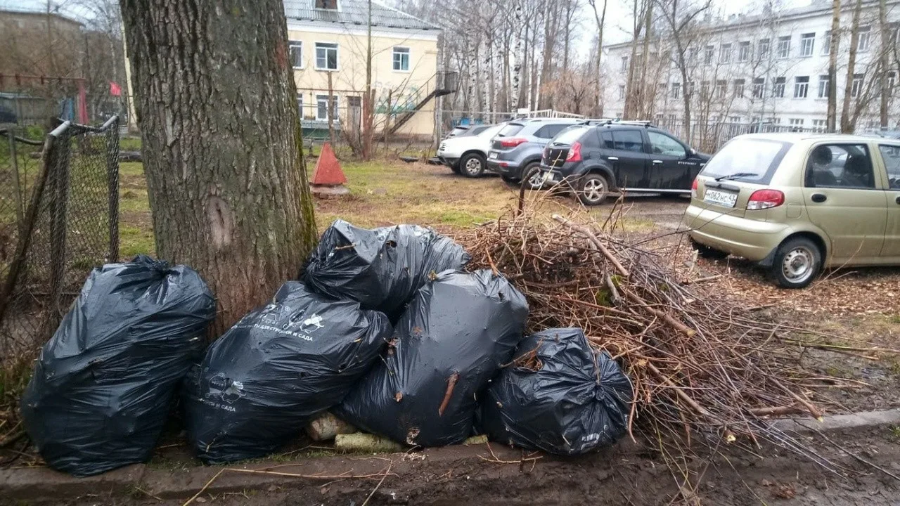 Вывоз мусора после субботника в Красном Сулине от ПроМусор – уборка и утилизация отходов от 2398 руб