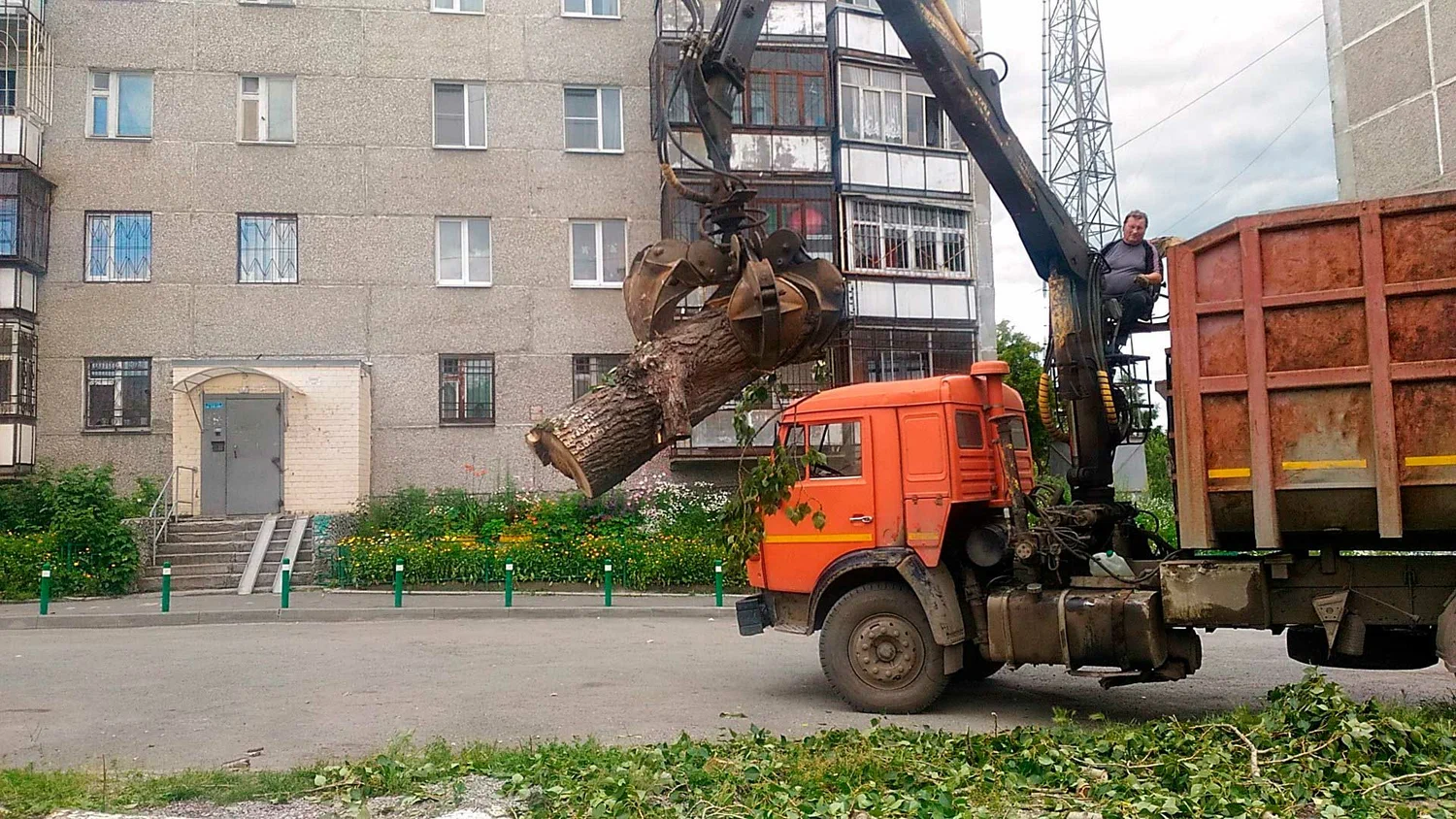 Вывоз спиленных веток и деревьев в Красном Сулине от ПроМусор: порубочные остатки, утилизация, цена от 2960 руб