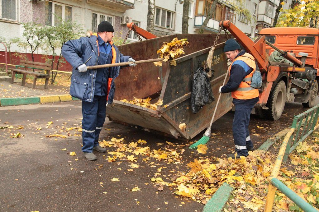 Вывоз опавшей листвы и растительного мусора в Красном Сулине от ПроМусор – цена от 4593 руб., быстрая уборка и утилизация